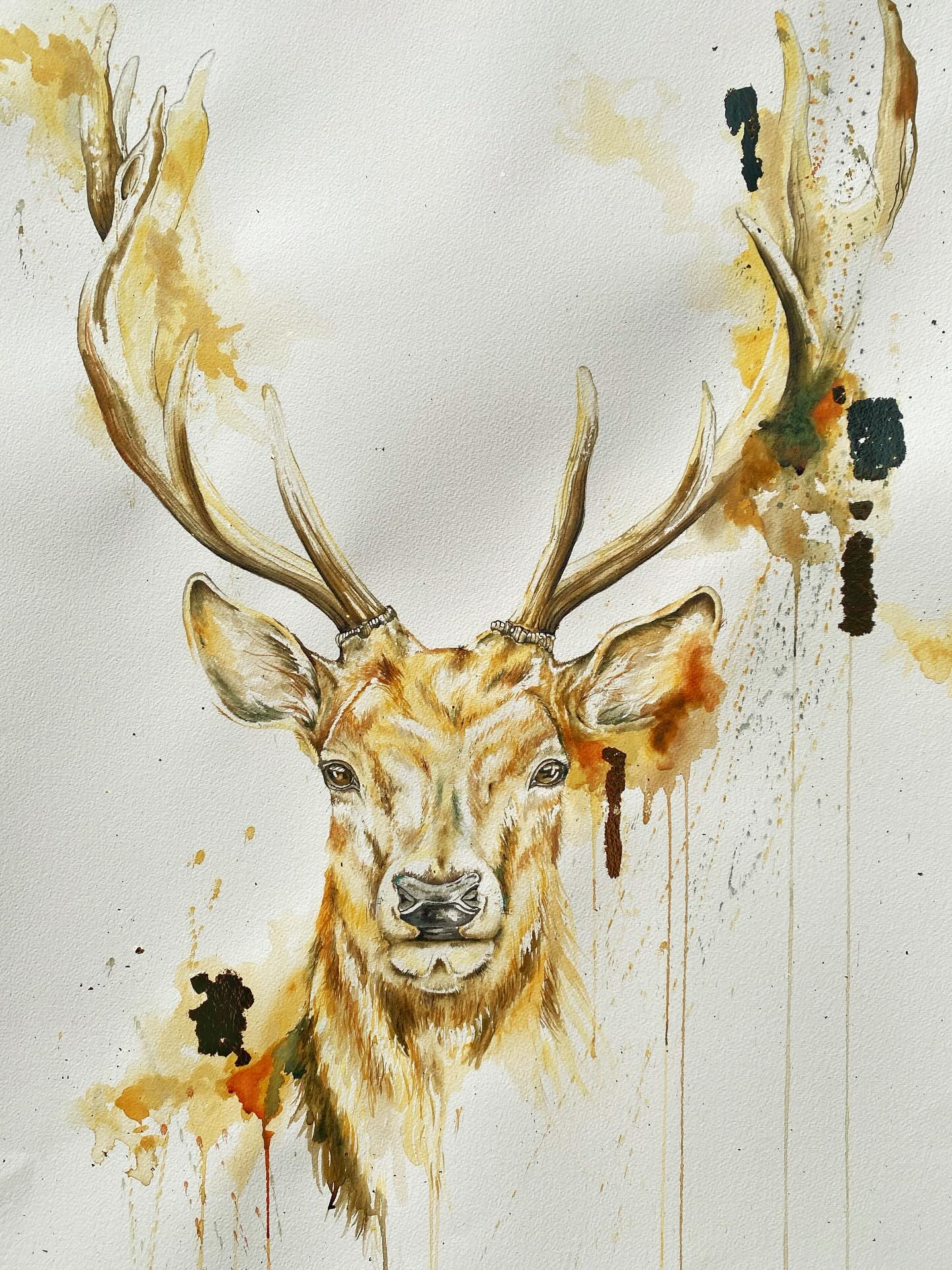 Deer