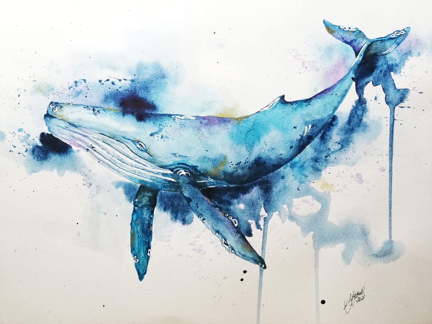 Whales 2