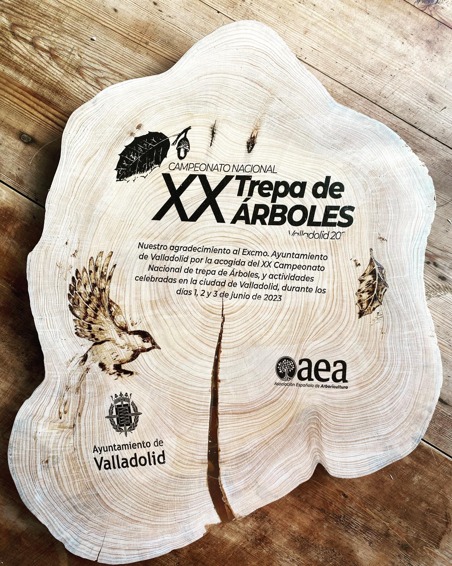 Wood 5